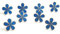 Freimaurer von 8Blume Vergissmeinnicht 15mm Emaille Revers PIN Badges