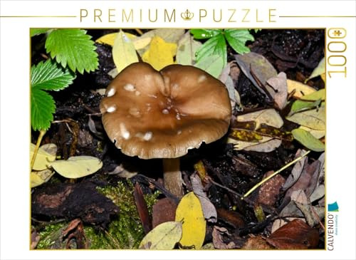 CALVENDO Puzzle EIN Motiv aus dem Kalender Pilze, Pilze 1000 Teile Puzzle quer | Lege-Größe cm Foto-Puzzle für glückliche Stunden