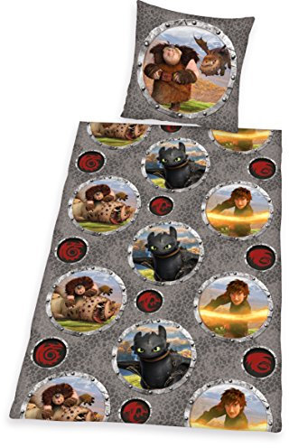Herding DREAMWORKS DRAGONS Bettwäsche-Set, Wendekissenbezug, Bettbezug 135 x 200 cm, Kopfkissenbezug 80 x 80 cm, Baumwolle/Renforcé
