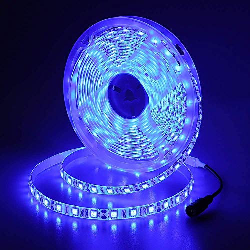 JOYLIT Tiras LED Exterior 12V 5M Azul 460-465nm 300LEDs SMD 5050 Luz LED Adhesiva IP65 Impermeable Flexible Light Strip para Cocina, Cuarto de Baño, Piscina, Barco (Sólo Tira LED)