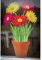 Gerbera-Fensteraufkleber im Blumentopf – Fenster-Sticker mit statischer Haftung als Fenster-Deko oder Gartenschmuck am Gewächshaus –Glasaufkleber