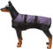 ZGM Hundemantel Eisbär - Lila/Schwarz - 50 cm