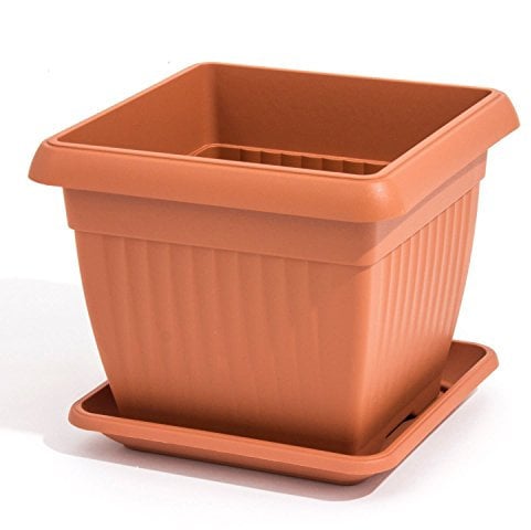 Prosper Plast Dkwt37-r624 37 x 37 x 30 cm Terra Pot à fleurs en terre cuite (1 pièces)