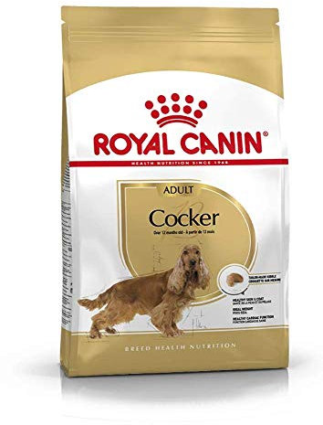 Royal Canin Cocker 25 Adult Hundefutter 12 kg, 1er Pack (1 x 12 kg)