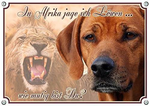 Petsigns Rhodesian Ridgeback - Hundeschild - Metallschild - Warnschild bis DIN A3 bestellbar, DIN A5