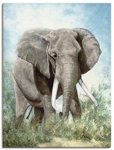 ARTland Wanddeko Leinwand Bilder Wandbild 30x40 cm Tiere Elefant T4EI