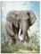 ARTland Wanddeko Leinwand Bilder Wandbild 30x40 cm Tiere Elefant T4EI