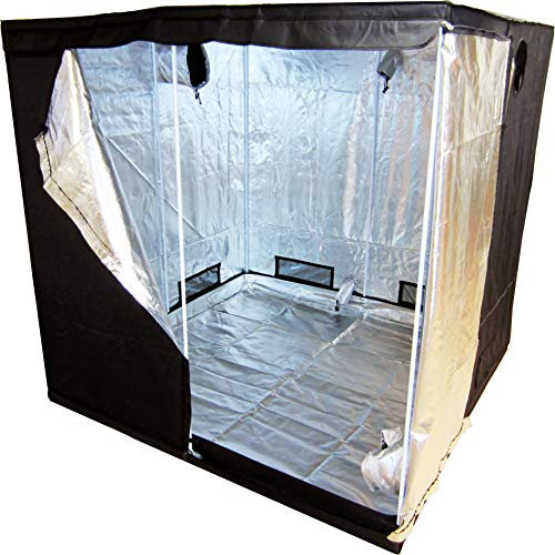 Green Lamp Premium 240 x 240 x 200cm 600D Mylar Indoor Grow Tent Box Hydroponics Dark Room