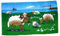 Fahne/Flagge Schafe an der Küste 90 x 150 cm Flaggen