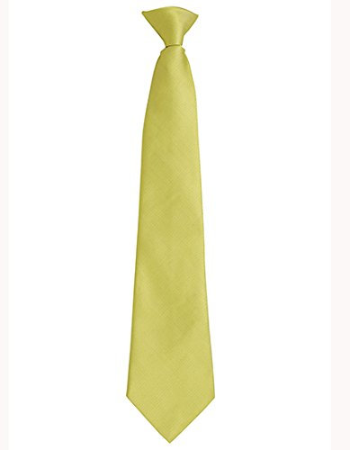 Premier Workwear Business Fashion Clip Ansteck Krawatte 'Colours' - schnell & praktisch PR785 47 x 10 cm,Lime
