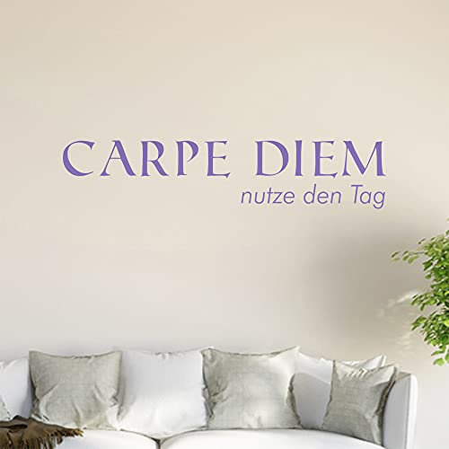 Carpe Diem - Adhesivo decorativo para pared (6 tamaños)