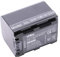 vhbw Akku kompatibel mit Sony DCR-DVD106(E), DCR-DVD109(E), DCR-DVD110(E) Videokamera Camcorder (950mAh, 7,2V, Li-Ion) mit Infochip