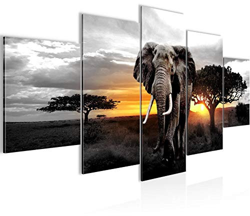 Runa Art - Bilder Afrika Elefant 200 x 100 cm 5 Teilig XXL Wanddekoration Design Grau Orange 001251c