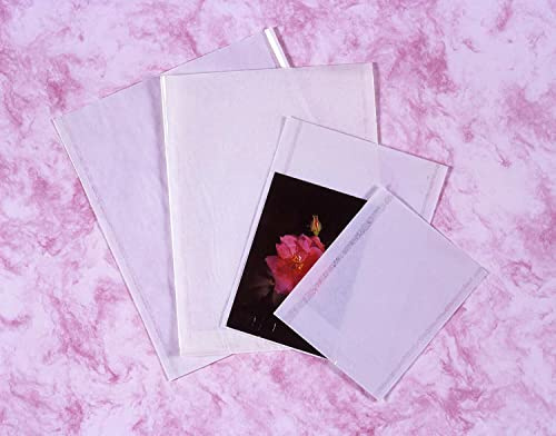Kenro Clear Fronted Bag for Photo Storage 10.5x13 Inch Pack of 500 - NB024