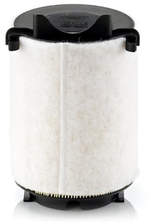 MANN-FILTER, C 14 130/1 Luftfilter | Für PKW, Saubere Luftzufuhr, Langlebiges Filtermedium, Passgenaues Design, Echte OE-Technologie