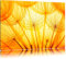 Pixxprint Pusteblumenblüten im orangen Licht, Größe: 80x60cm, Leinwandbild, fertig gespannt, Wandbild, Dekoration, Kunstdruck, kein Poster