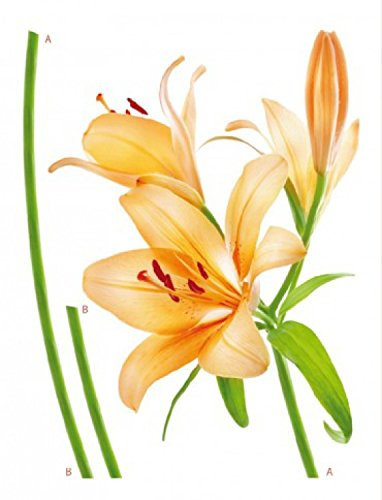 1art1 Blumen Gelbe Lilie Wand-Tattoo | Deko Wandaufkleber für Wohnzimmer Kinderzimmer Küche Bad Flur | Wandsticker für Tür Wand Möbel/Schrank 85x65 cm