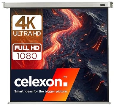 Celexon Leinwand Motor Professional 300 x 300 cm