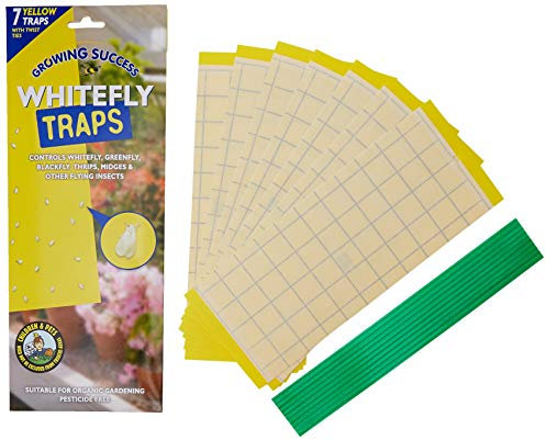Growing Success GF2549 Greenhouse Whitefly Traps, 7 Traps Per Pack,Yellow