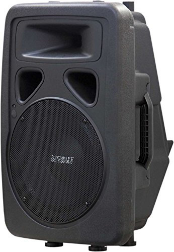 Earthquake Sound DJ-10M 2-Wege-Monitor/PA-Lautsprecher, 600 Watt