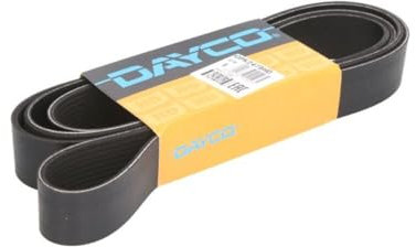 DAYCO 10pk2475hd Keilriemen geriffelt, HD