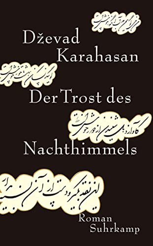 Der Trost des Nachthimmels: Roman (suhrkamp taschenbuch)