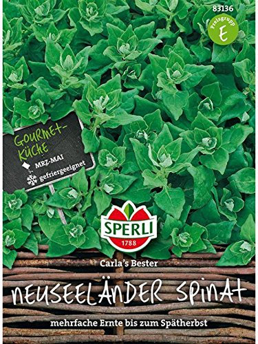 Neuseeländer Spinat Carla?s Bester