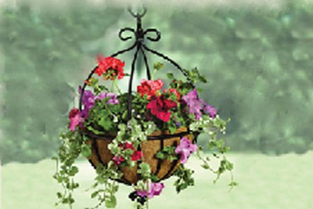 Spanish Hanging Basket 14 Inch