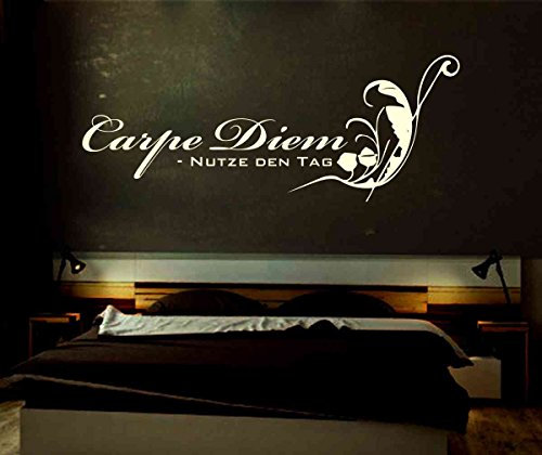 INDIGOS UG - Wandtattoo Wohnzimmer - Wandaufkleber Carpe Diem - nachleuchtend im Dunkeln - Fluoreszierend 120x46 cm - Aufkleber Kinderzimmer Schlafzimmer Küche Badezimmer Büro Dekoration