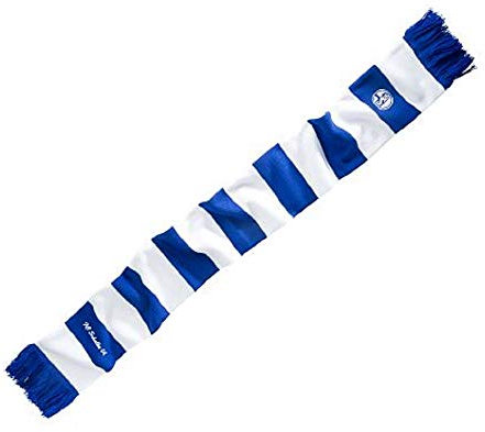 SCHAL FANSCHAL FC SCHALKE 04 S04 Blockstreifen
