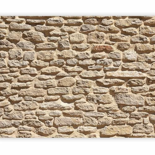 Fototapete - Tapete Steinoptik 250x193 cm - Foto Tapete Schlafzimmer Wohnzimmer Moderne Vliestapete XXL Wandtapete Motivtapeten Bildtapete 3d Effekt Wand Dekoration - Steinwand Mauer 3D Effekt beige