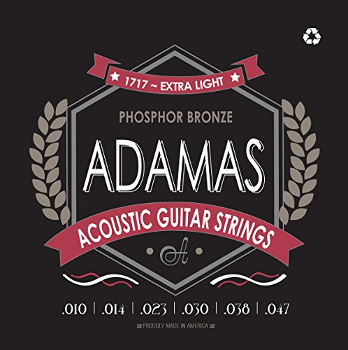 Adamas 1717 Akustikgitarre 010