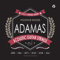 Adamas 1717 Akustikgitarre 010