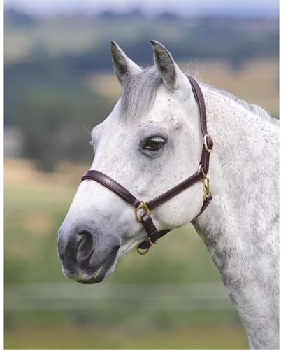 Shires Velocito Gara Ragley Lined Headcollar Hav Pony