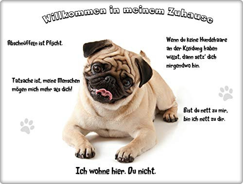 Merchandise for Fans Blechschild/Warnschild/Türschild - Aluminium - 20x30cm - - Willkommen in Meinem Zuhause - Motiv: Mops Porträt- 08