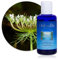 Hydrolat (Eau florale) : Carotte sauvage BIO - Daucus carota - 200 ml