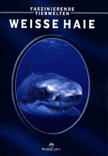 Weisser Hai: Außerhalb des Sicherheitskäfigs