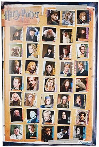 GB eye LTD Harry Potter 7 Charaktere, Maxi-Poster, 61 x 91,5 cm, Holz, Mehrfarbig