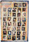 GB eye LTD Harry Potter 7 Charaktere, Maxi-Poster, 61 x 91,5 cm, Holz, Mehrfarbig
