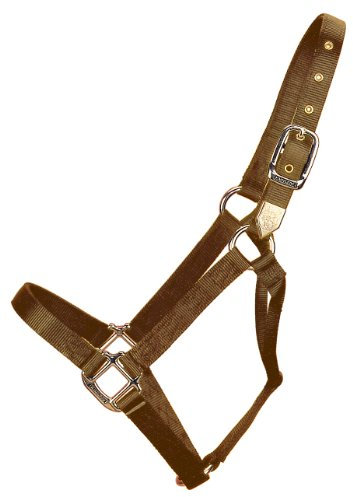Hamilton Pferdhalfter, 2,5 cm, Nylon