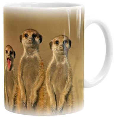 Becher/Tasse/Kaffeebecher/Kaffeepott aus Keramik - 300 ml Motiv: Erdmännchen in der Kalahari (01)