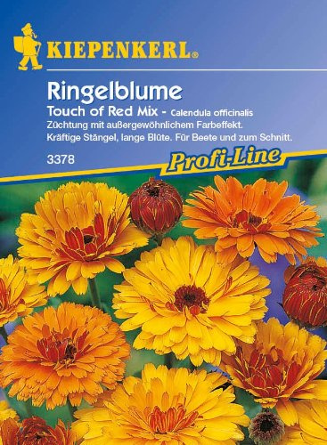 Ringelblume, 'Touch of Red Mix'