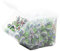 Tico Pop Lolly 100er, Apfel