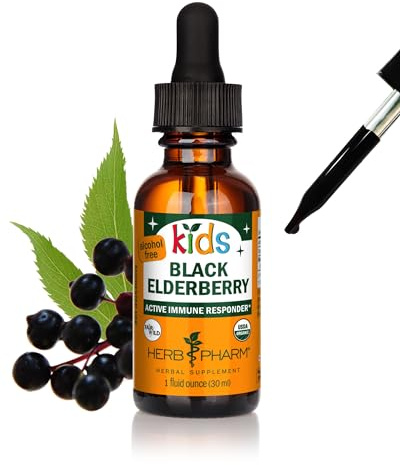 Herb Pharm Kids Certified-Organic Alcohol-Free Black Elderberry Glycerite Liquid Extract Drops, 1 Oz
