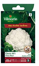 Vilmorin - Sachet graines Chou fleur Clovis HF1