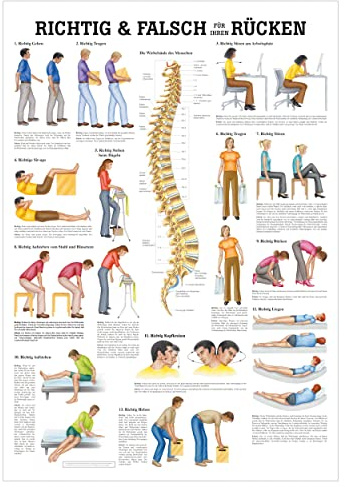 Sport-Tec Richtig u. falsch für Ihren Rücken Lehrtafel Anatomie 100x70 cm med. Lehrmittel