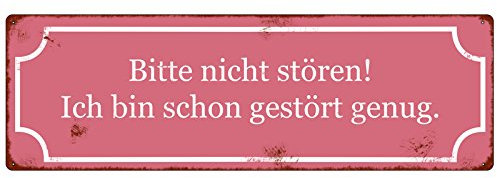METALLSCHILD Shabby Vintage Blechschild BITTE NICHT STÖREN BIN SCHON GESTÖRT Schild mit witzigem Spruch