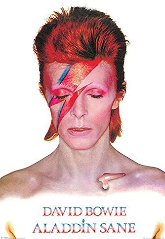 Close Up David Bowie Poster Aladdin Sane (61cm x 91,5cm) + 1 Traumstrand Poster Insel Bora Bora zusätzlich