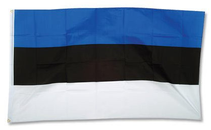 Prom Flagge Fahne Estland 90 * 150 cm