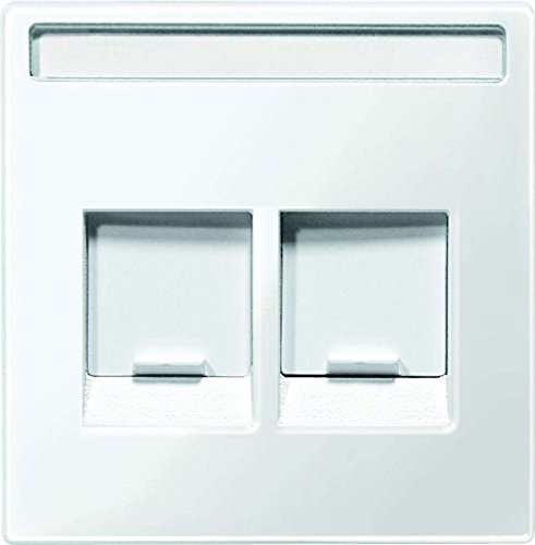 Merten Zentralpl. für Schneider Electric-Connector 2 Fach, System M, polarweiß glänzend, MEG4574-0319